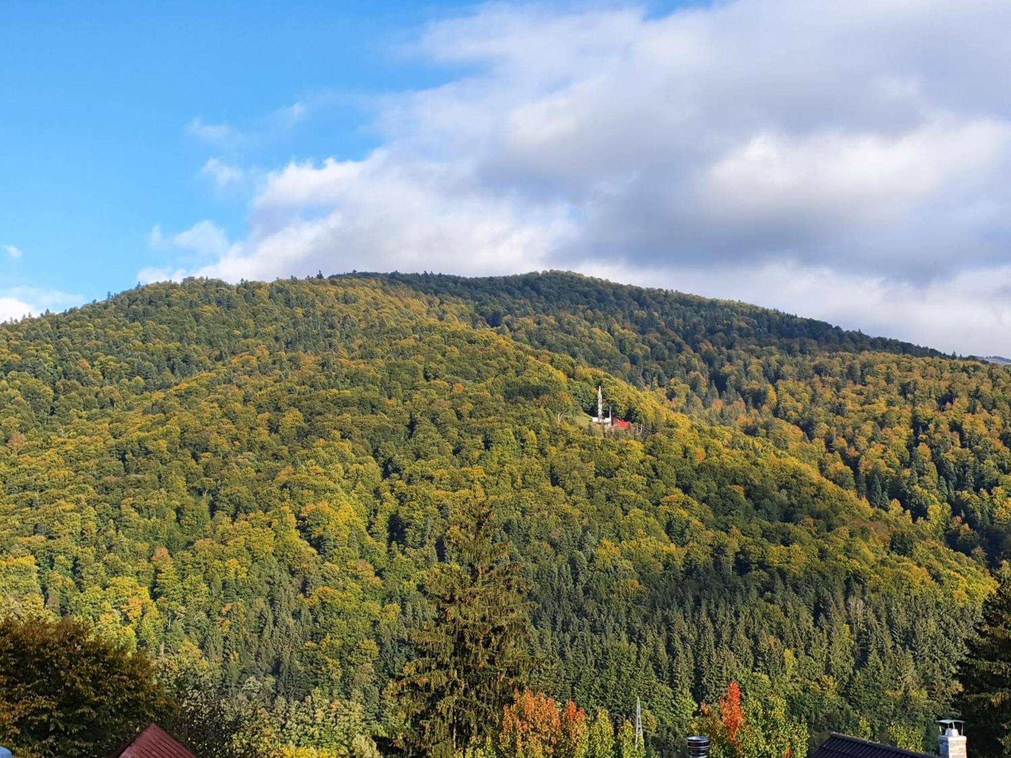 Pensiunea Tv Condor Sinaia Pokój zdjęcie