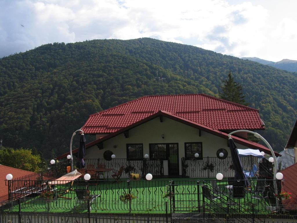 Pensiunea Tv Condor Sinaia Zewnętrze zdjęcie
