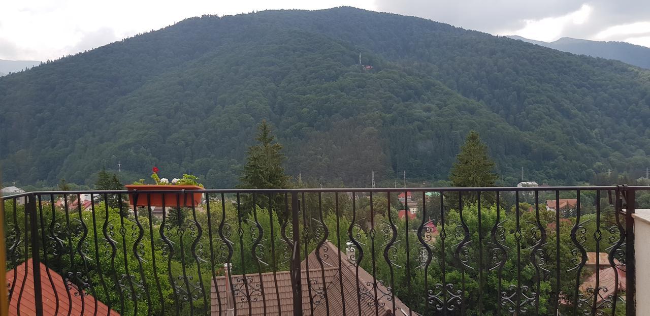 Pensiunea Tv Condor Sinaia Zewnętrze zdjęcie